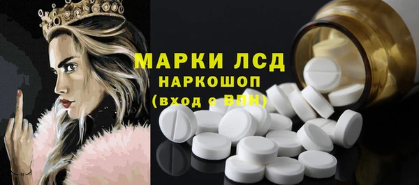 стаф Баксан