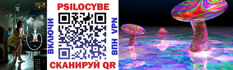 Псилоцибиновые грибы Psilocybe  даркнет какой сайт  Нижнеудинск 